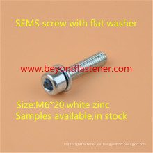 Sems Screw M6 * 20